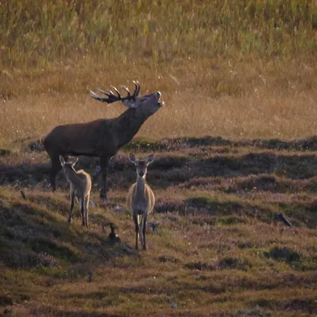 Camping Bygholm Og Aktiviteter *